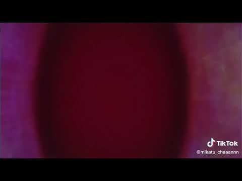 ¡Feliz Cumple Atrasado Kurapika! 🎉🎁