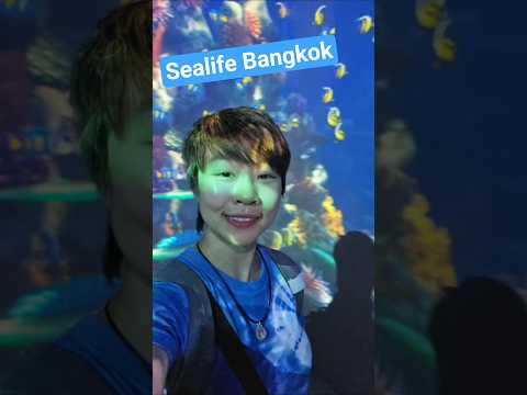 พาไปดูโลกใต้ทะเลที่ Sealife Bangkok สยามพารากอนค่ะ #sealifebangkok #อควาเรียม #aquarium ##เที่ยว