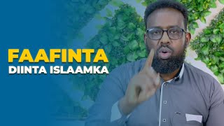 IMMISA QOF AYAAD MUSLIMIN KARTAA?