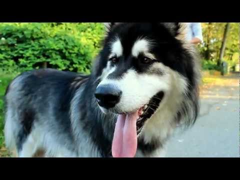 102.7 The Peak Commercial