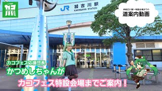 かつめしちゃんがカコフェス特設開場までご案内！