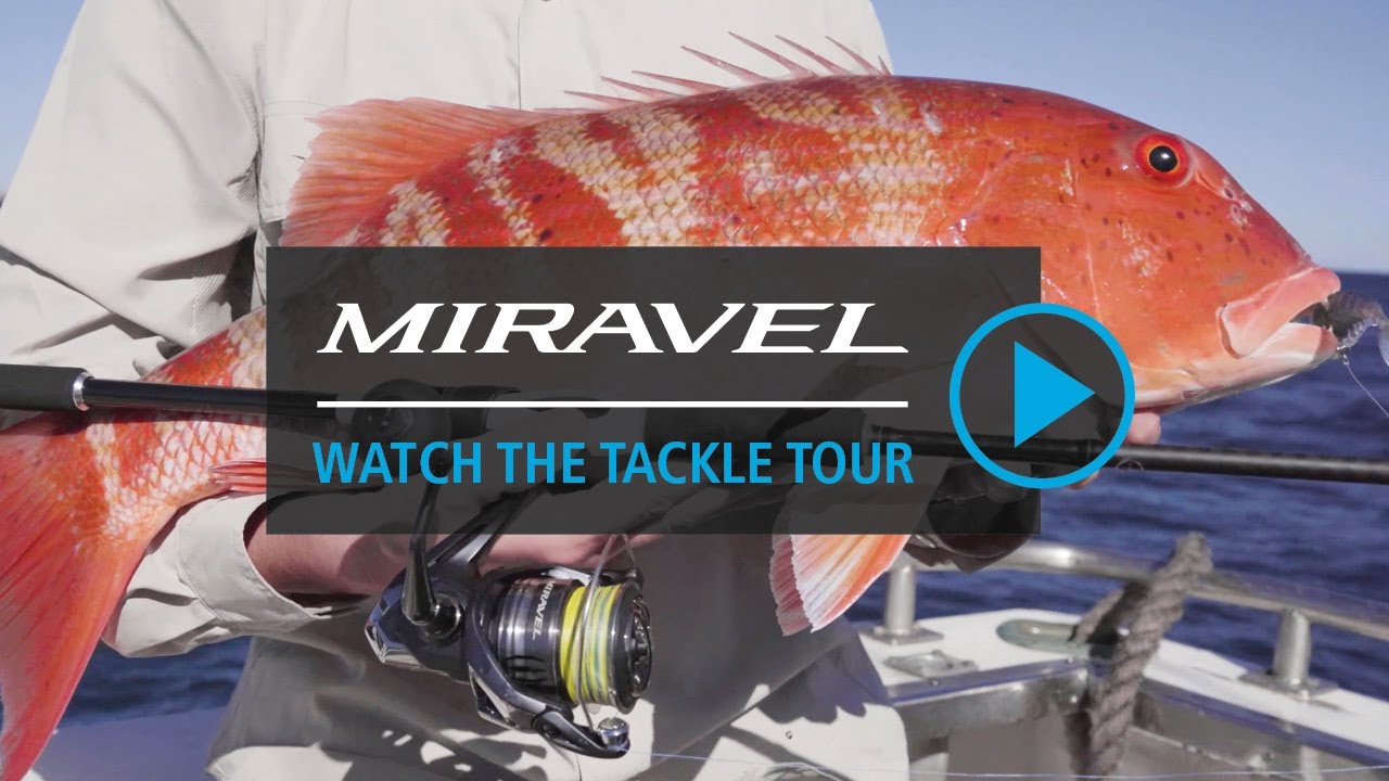 Shimano Miravel Spin Reel video thumbnail
