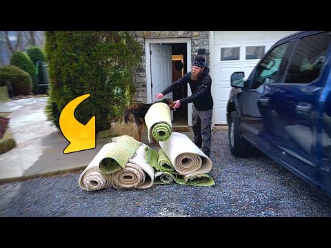 Ripping out my carpet and replacing with LVP floating floors