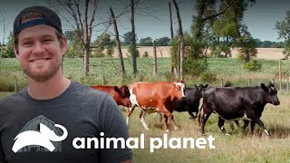 Thumbnail del capítulo