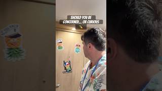 What Does THIS Cruise Cabin Door Mean? 🍍😳