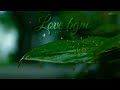 Love BGM RS Status Video 01