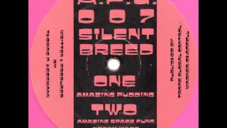 Silent Breed - Amazing Space Funk