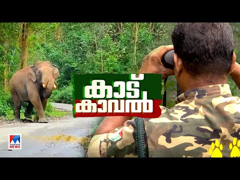 കാട്ടില്‍ വാച്ചര്‍മാരുടെ അതിസാഹസിക  ജീവിതം; ജോലി, വെല്ലുവിളി; അറിയാക്കഥകള്‍ | Forest|Kaadu Kaval