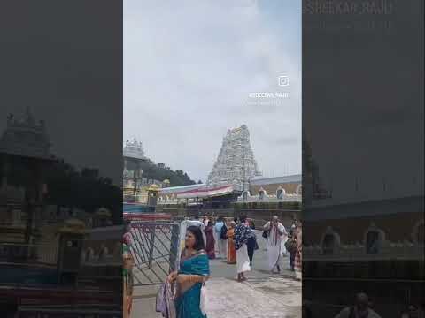 BEAUTYFUL, Happy, Sree Venkateswsraswamy, Tirumala⚘️