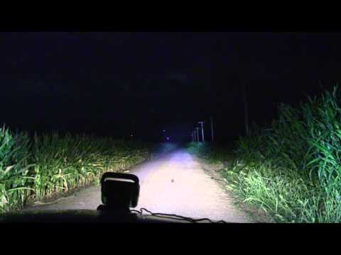 GoLight Test Footage 1