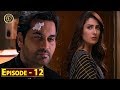 Meray Paas Tum Ho Episode 12 | Ayeza Khan | Humayun Saeed | Top Pakistani Drama
