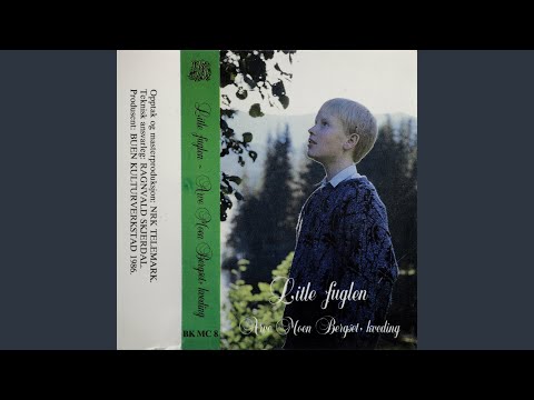 Ingen Er Så Trygg På Ferda; Svensk Folketone