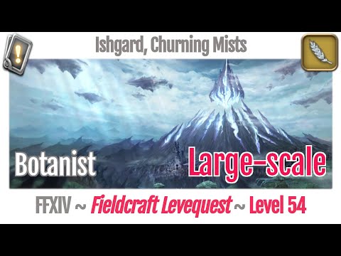 FFXIV Botanist Leves Level 54 Large-scale - Ishgard, Churning Mists - Heavensward