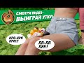 Funny Ducks L1876 - видео