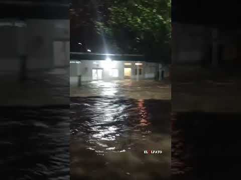 Emergencia en Venadillo: quebrada generó inundaciones