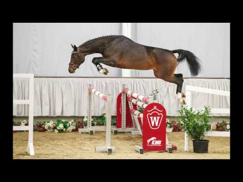 25  Bohemia Stute v. Balloon - Cornet Obolensky