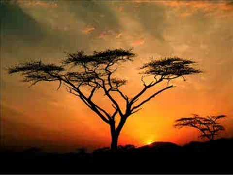 Dj Sin Plomo -  African Stomper (Original Mombasa Mix)