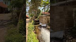 Download lagu suasana pagi hari di desa perkampungan #kampunghalaman #nostalgiajamandulu #suasanadesa #nature #fyp mp3