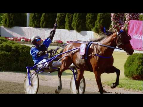 Elitloppet, vi älskar dig!