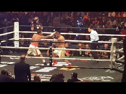 Gervonta Davis Knocks out Jesus Cuellar by boding him