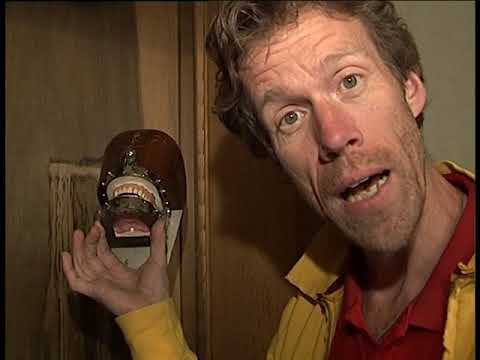 Tandheelkunde Groningen - Beno’s Stad 218 (16-6-2005)