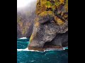 Elephant rock in Iceland 🇮🇸