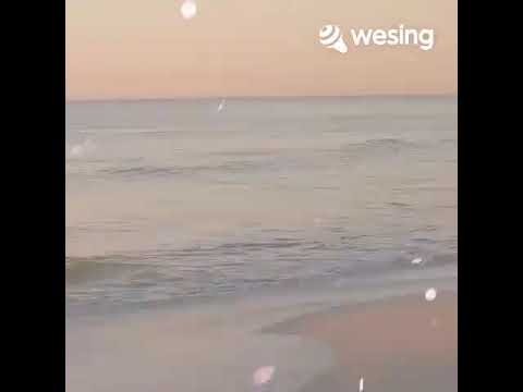 น้ำตาลใกล้มด รุ่งฤดี-S s3325 u