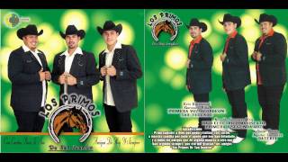 preview picture of video 'Los Primos de San Juanico - Tequila.avi'