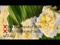 MAJA BLANCA | WITHOUT EVAPORATED MILK AND CONDENSED MILK | EASY COCONUT PUDDING