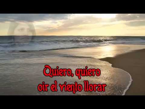 LOS GATOS - Quiero (CON LETRAS)