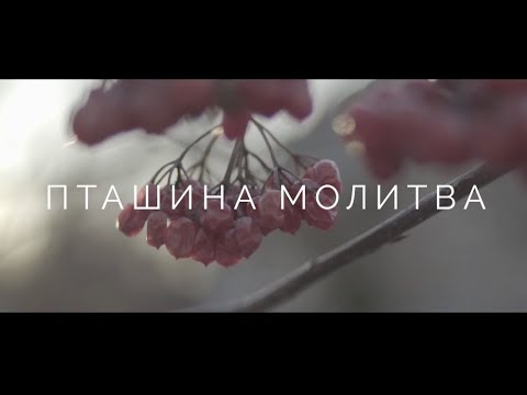 Laura Marti feat. Katya Chilly /Пташина молитва / Один день на студії