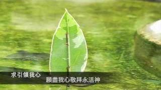 『求引領我心』伴我成長1(經典基督教詩歌,團契遊樂園推介)