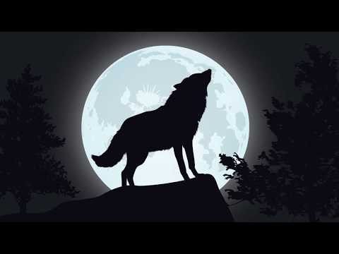 The Jordan & Wolfgang Show || Intro video