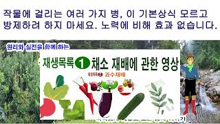 작물에 걸리는 여러가지 병, 이 기본 상식 모르고 방제 하려들지 마세요. 노력에 비해 효과 없습니다.(작물 …
