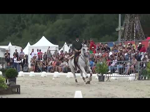 World Championship Working Equitation 2022 in les Herbiers speed test Alves Tiago on EOXIDO
