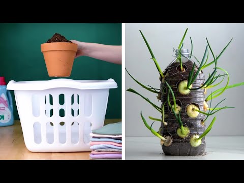 These Clever Tricks Will Turn Everyone into a Pro Gardener