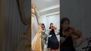 Download lagu 【グランドハープ×ヴァイオリン】アストルピアソラ「タンゴの歴史」よりボーデルBordel 1900 mp3 Download lagu 【グランドハープ×ヴァイオリン】アストルピアソラ「タンゴの歴史」よりボーデルBordel 1900 mp3