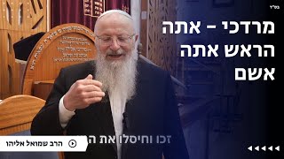 מרדכי - אתה הראש אתה אשם | הרב שמואל אליהו | הלכה יומית | ל׳ שבט תשפ״ה (הרב שמואל אליהו) - התמונה מוצגת ישירות מתוך אתר האינטרנט יוטיוב. זכויות היוצרים בתמונה שייכות ליוצרה. קישור קרדיט למקור התוכן נמצא בתוך דף הסרטון