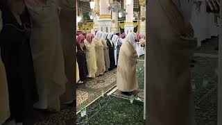 Download lagu KLIP LANGKA Syekh Sudais memimpin shalat Isya di Masjid An Nabawi #sudais mp3 Download lagu KLIP LANGKA Syekh Sudais memimpin shalat Isya di Masjid An Nabawi #sudais mp3