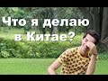 Что я делаю в Китае и как я сюда попал? 