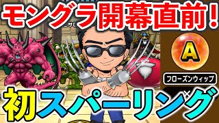 【ドラクエウォーク】モングラ開幕直前！ 初スパーリング！！！