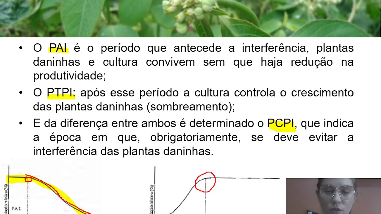 Competição entre plantas daninhas e plantas cultivadas - Parte 3