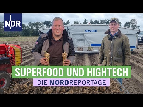 Ackern bis zum Frost - Wintergemüse frisch vom Feld | Die Nordreportage | NDR