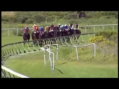 2018.11.24 Ready to Run Stakes (RSA) - Cirillo