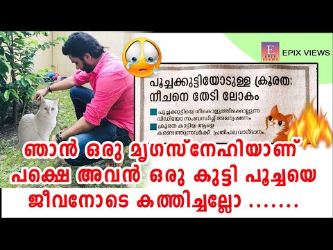 പൂച്ചകുട്ടിയെ ജീവനോടെ കത്തിച്ചു കൊന്നവനോട് ദൈവം പോലും പൊറുക്കില്ല | Cat died news