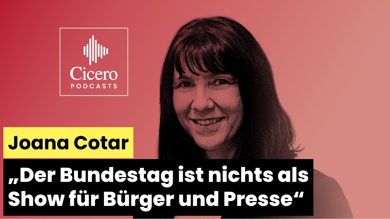 „Der Bundestag ist nichts als Show für Bürger und Presse“ - Joana Cotar