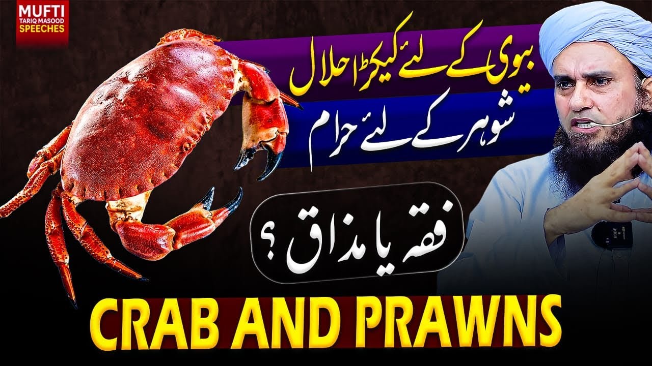 Crab And Prawns  | Mufti Tariq Masood Speeches 🕋