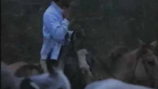 Filme nacional: Os Matadores (parte 1 - 9)