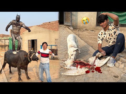 Coco Ny Duck Ko Mar Dala 😭 Bat-Man Hmari Help Krna Agea 😱