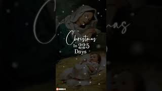 Christmas Notice Video WhatsApp status